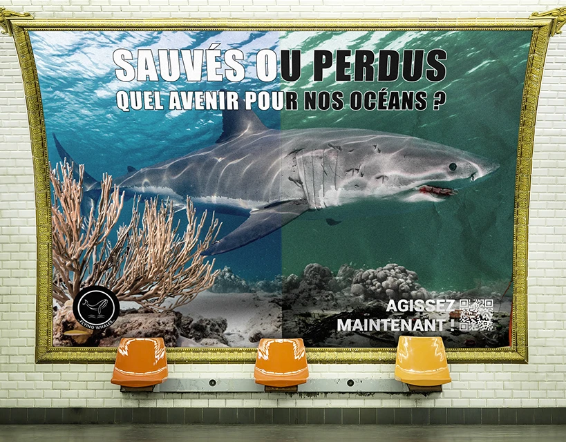 image Flying Whales
