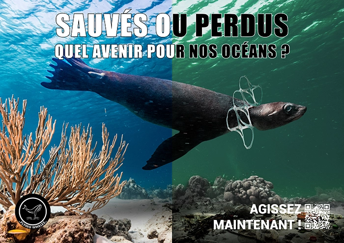 flying_whales_phoque